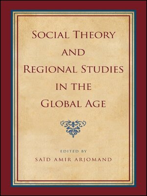 cover image of Social Theory and Regional Studies in the Global Age